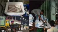 Bangladesh sends first hilsa shipment to India ahead of Durga Puja